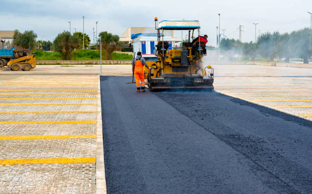 Best Driveway Pavers Near Me  in Thunder Mountain, NM