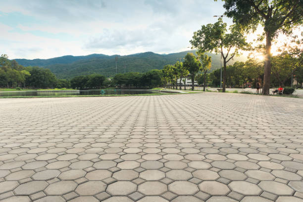Best Driveway Pavers Near Me  in Thunder Mountain, NM